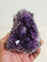 Load image into Gallery viewer, Amethyst High-Grade Brazil Natural Crystal Cluster A561
