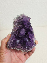 Load image into Gallery viewer, Amethyst High-Grade Brazil Natural Crystal Cluster A561