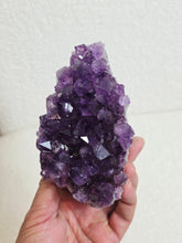 Load image into Gallery viewer, Amethyst High-Grade Brazil Natural Crystal Cluster A563