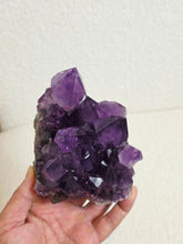 Load image into Gallery viewer, Amethyst High-Grade Brazil Natural Crystal Cluster A566
