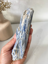 Load image into Gallery viewer, Blue Kyanite Raw/Natural Crystal RC017