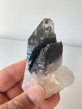 Load image into Gallery viewer, Himalayan Tourmalinated Quartz Crystal Q301a