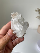 Load image into Gallery viewer, Apophyllite Natural Cluster High-Grade AP737a