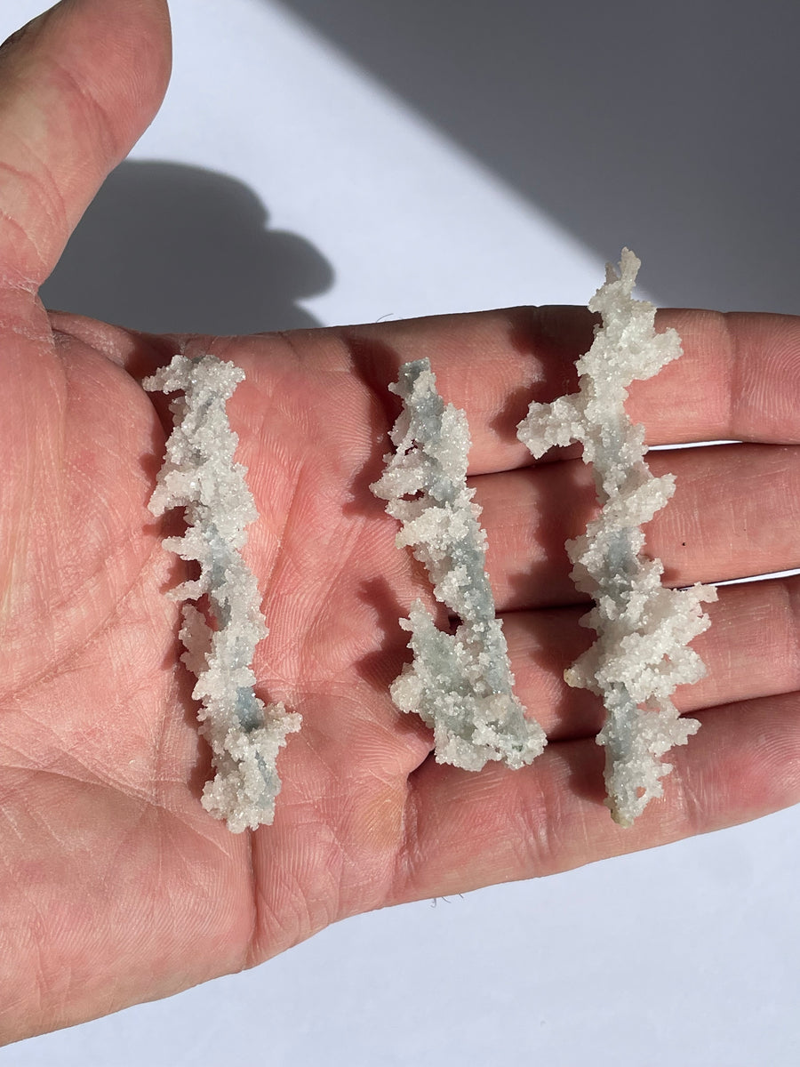 Coral Chalcedony Formation
