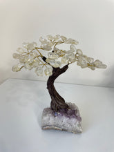 Load image into Gallery viewer, Quartz Gem Tree (M) TR066