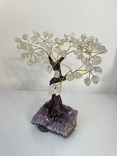 Load image into Gallery viewer, Quartz Gem Tree (M) TR067