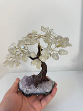 Load image into Gallery viewer, Quartz Gem Tree (M) TR068