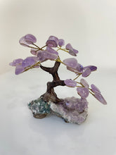 Load image into Gallery viewer, Amethyst Gem Tree (S) TR075