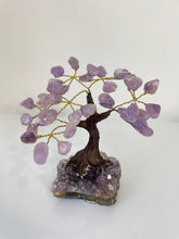 Load image into Gallery viewer, Amethyst Gem Tree (S) TR076