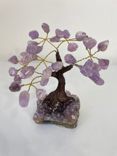 Load image into Gallery viewer, Amethyst Gem Tree (S) TR076