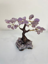 Load image into Gallery viewer, Amethyst Gem Tree (S) TR076
