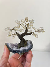 Load image into Gallery viewer, Quartz Gem Tree (S) TR078