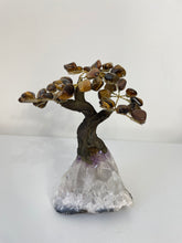 Load image into Gallery viewer, Tiger Eye Gem Tree (S) TR072