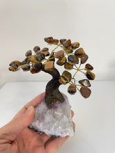 Load image into Gallery viewer, Tiger Eye Gem Tree (S) TR072