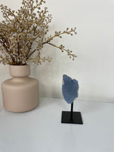 Load image into Gallery viewer, Angelite Freeform on Stand High Grade AG236