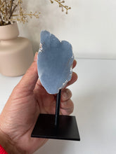 Load image into Gallery viewer, Angelite Freeform on Stand High Grade AG236