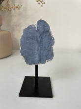 Load image into Gallery viewer, Angelite Freeform on Stand High Grade AG237