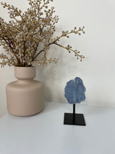 Load image into Gallery viewer, Angelite Freeform on Stand High Grade AG237