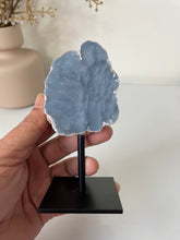 Load image into Gallery viewer, Angelite Freeform on Stand High Grade AG237