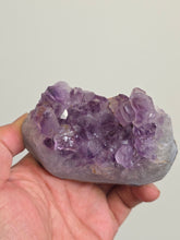 Load image into Gallery viewer, Amethyst Crystal Cluster | Raw Natural Stone from India A527