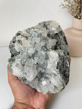 Load image into Gallery viewer, Apophyllite Natural Cluster AP775a