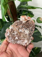 Load image into Gallery viewer, Green Apophyllite Natural Cluster AP487a