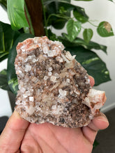 Load image into Gallery viewer, Green Apophyllite Natural Cluster AP487a