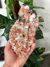Load image into Gallery viewer, Green Apophyllite Natural Cluster AP482a