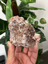 Load image into Gallery viewer, Green Apophyllite Natural Cluster AP487a