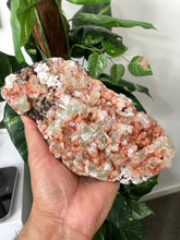 Load image into Gallery viewer, Green Apophyllite Natural Cluster AP482a
