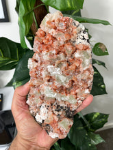 Load image into Gallery viewer, Green Apophyllite Natural Cluster AP482a