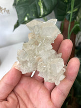 Load image into Gallery viewer, Stalactite Apophyllite cluster pointed DT Crystal AP509a