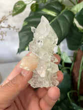 Load image into Gallery viewer, Stalactite Apophyllite cluster pointed DT Crystal AP502a