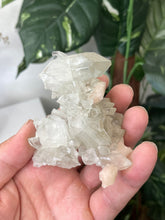 Load image into Gallery viewer, Stalactite Apophyllite cluster pointed DT Crystal AP509a