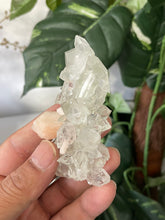Load image into Gallery viewer, Stalactite Apophyllite cluster pointed DT Crystal AP502a