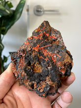 Load image into Gallery viewer, Crocoite Natural Cluster, Tasmania CR057