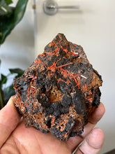 Load image into Gallery viewer, Crocoite Natural Cluster, Tasmania CR057