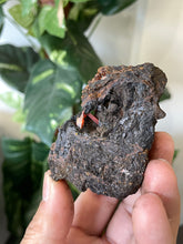 Load image into Gallery viewer, Crocoite Natural Cluster, Tasmania CR048