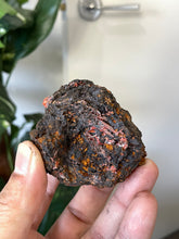 Load image into Gallery viewer, Crocoite Natural Cluster, Tasmania CR049