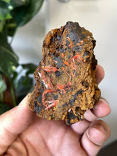 Load image into Gallery viewer, Crocoite Natural Cluster, Tasmania CR051