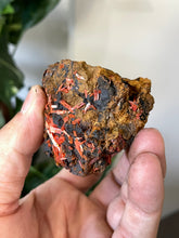 Load image into Gallery viewer, Crocoite Natural Cluster, Tasmania CR051