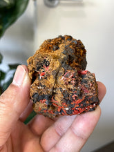 Load image into Gallery viewer, Crocoite Natural Cluster, Tasmania CR051