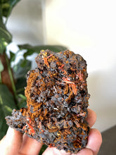 Load image into Gallery viewer, Crocoite Natural Cluster, Tasmania CR052