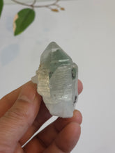 Load image into Gallery viewer, Chlorite Green Phantom Himalayan Quartz Crystal Q426a