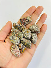 Load image into Gallery viewer, Leopard Skin Jasper Tumbled Stone TB084 x 1