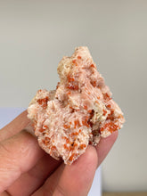 Load image into Gallery viewer, Vanadinite on Barite Crystal Cluster V054