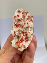 Load image into Gallery viewer, Vanadinite on Barite Crystal Cluster V057