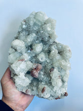 Load image into Gallery viewer, Apophyllite High Grade Cluster AP156A