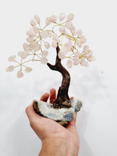 Load image into Gallery viewer, Rose Quartz Gem Tree/Crystal Tree (M) 12 branches, 60 CrystalsTR034