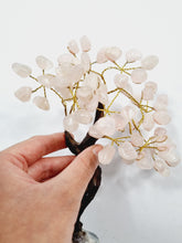 Load image into Gallery viewer, Rose Quartz Gem Tree/Crystal Tree (M) 12 branches, 60 CrystalsTR034